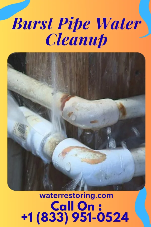 Burst Pipe Water Cleanup in Mayesville, SC