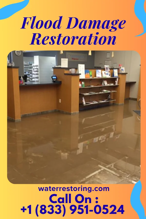 Flood Damage Restoration in Mayesville, SC