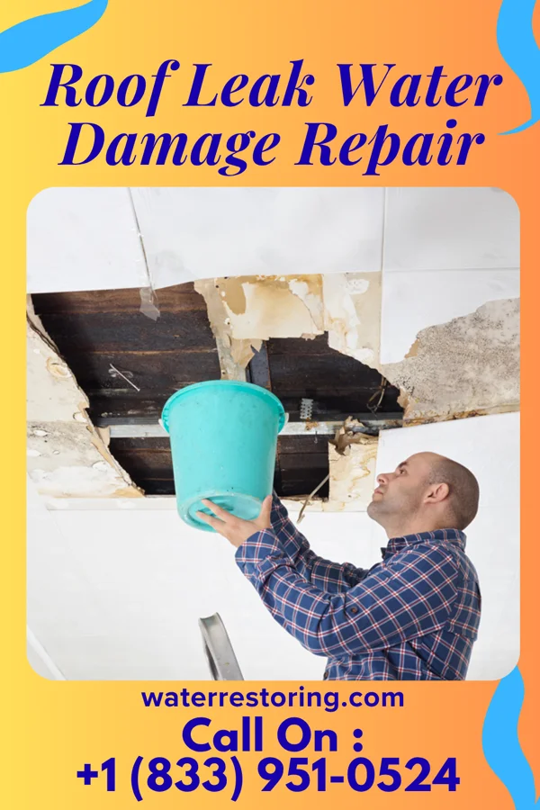 Roof Leak Water Damage Repair in Mayesville, SC