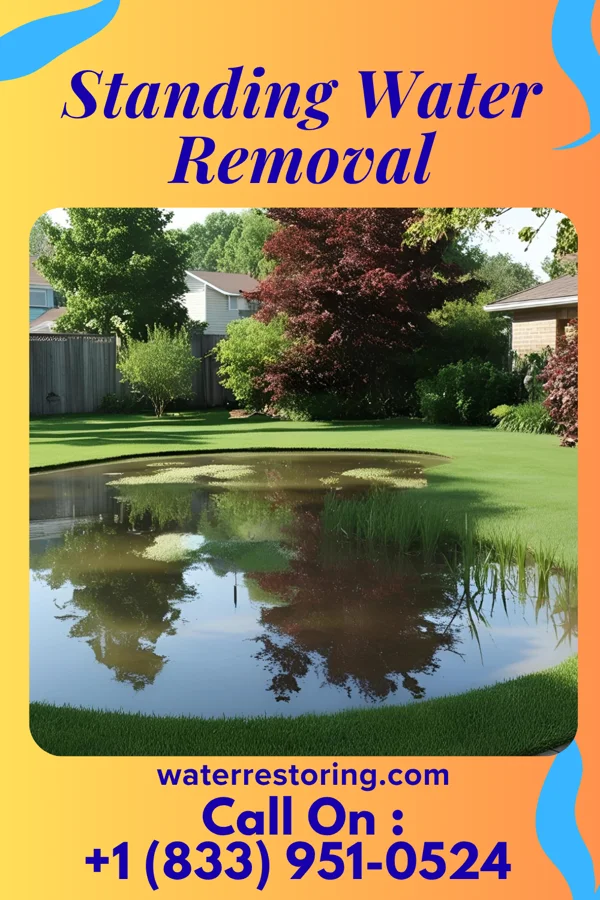 Standing Water Removal in Mayesville, SC